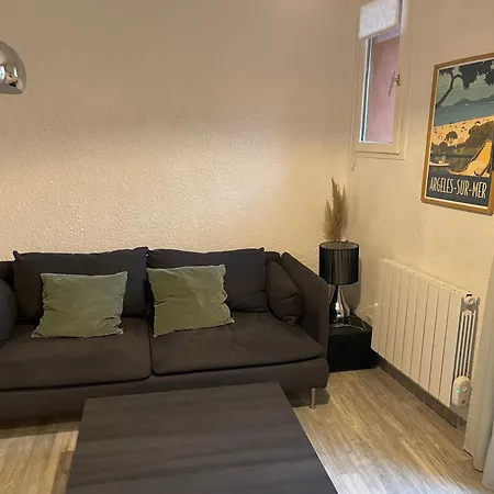 Maison Individuelle Plein Coeur D'argeles Sur דירה ארגלס-סור-מר
