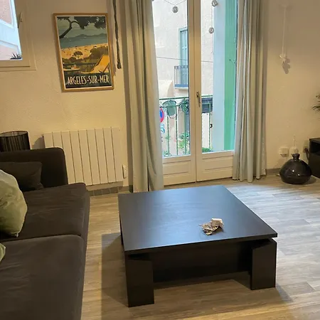 Maison Individuelle Plein Coeur D'argeles Sur